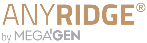 anyridge_logo-removebg-preview